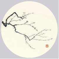 Administrator's avatar